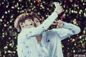 勋鹿图片高清,探寻自然之美与和谐共生